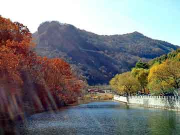 澳门天天免费精准大全，水蛭养殖基地